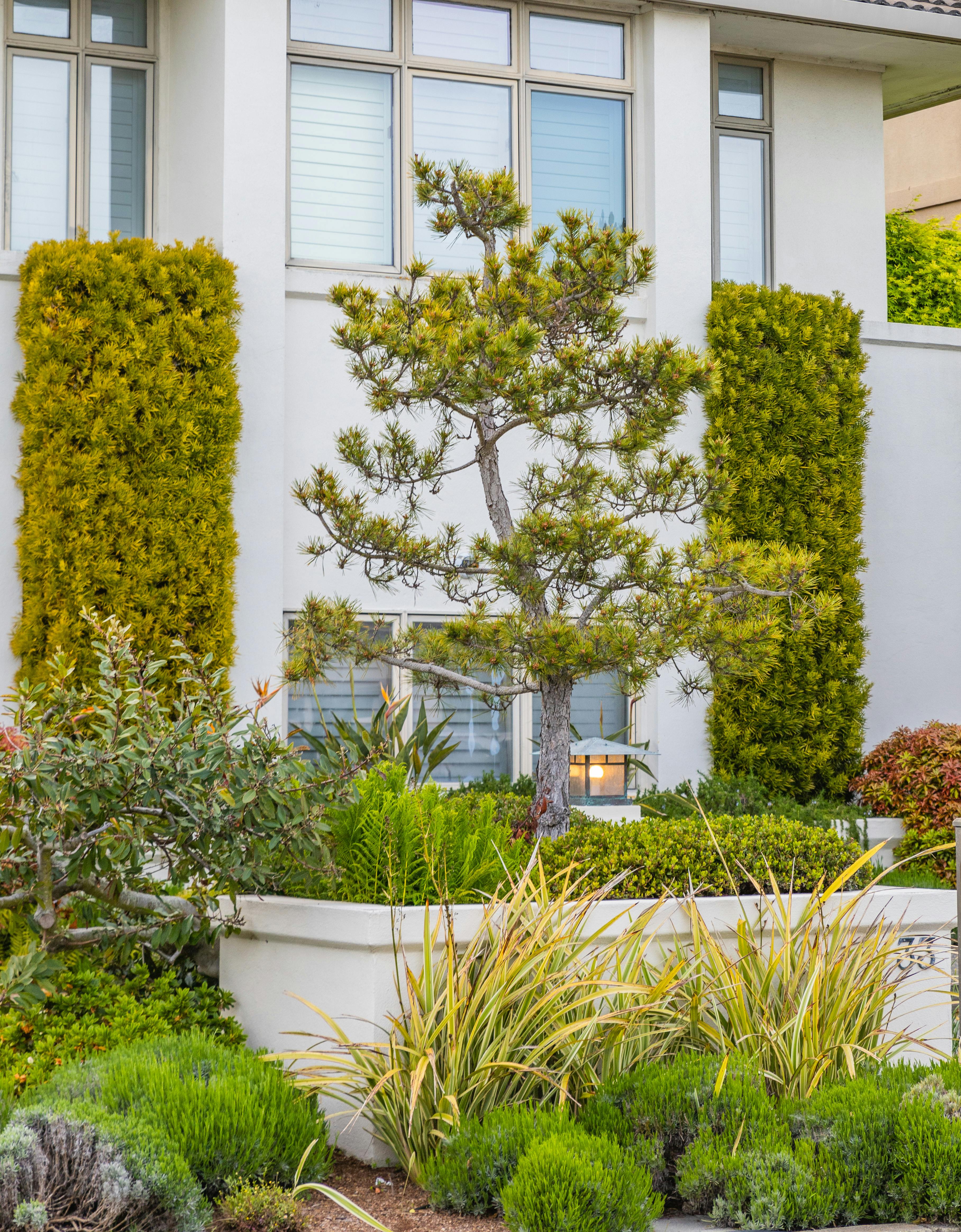 Beautiful landscape design showcasing professional stonework and lush plantings